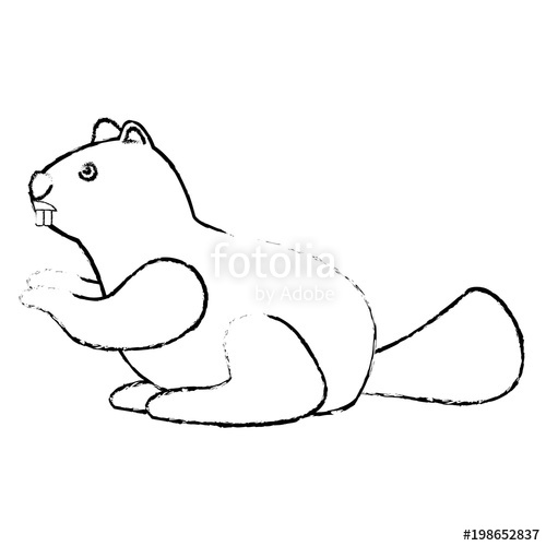 500x500 Beaver Rodent Mammal Wildlife Fauna Vector Illustration Sketch - Beaver Sketch