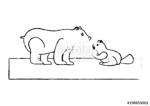 500x354 Grizzly Bear And Beaver Wildlife Side View Vector Illustration - Beaver Sketch