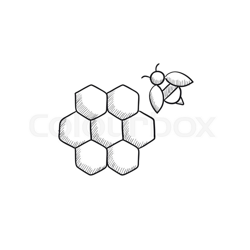 800x800 Honeycomb And Bee Sketch Icon For Web, Mobile And Infographics - Bee Sketch