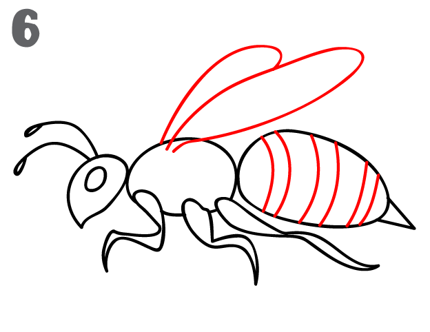 624x482 How To Draw A Bee - Bee Sketch
