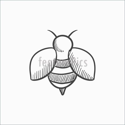 500x500 Bee Sketch Icon. Illustration - Bee Sketch