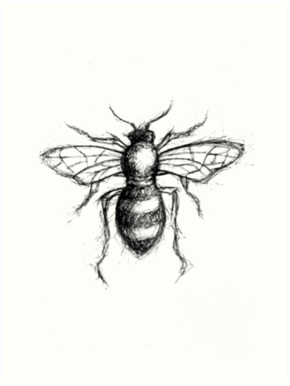 413x549 Bee Sketch Print Art Prints By Toriamorganart Redbubble - Bee Sketch