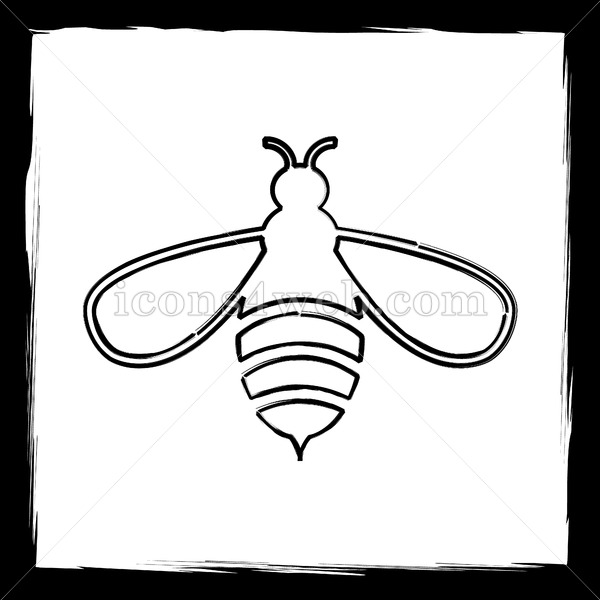 600x600 Bee Sketch Icon. - Bee Sketch