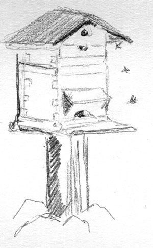 300x485 Sharon Lovejoy Beehive Sketch. Garden Journalingillustration - Beehive Sketch