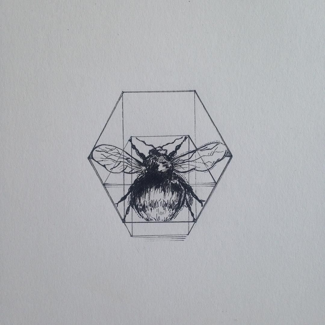 1080x1080 Vitruvian Bee - Beehive Sketch