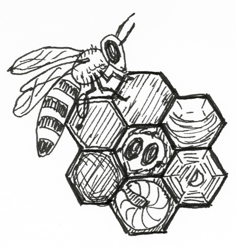 480x503 Antje Roitzsch News - Beehive Sketch