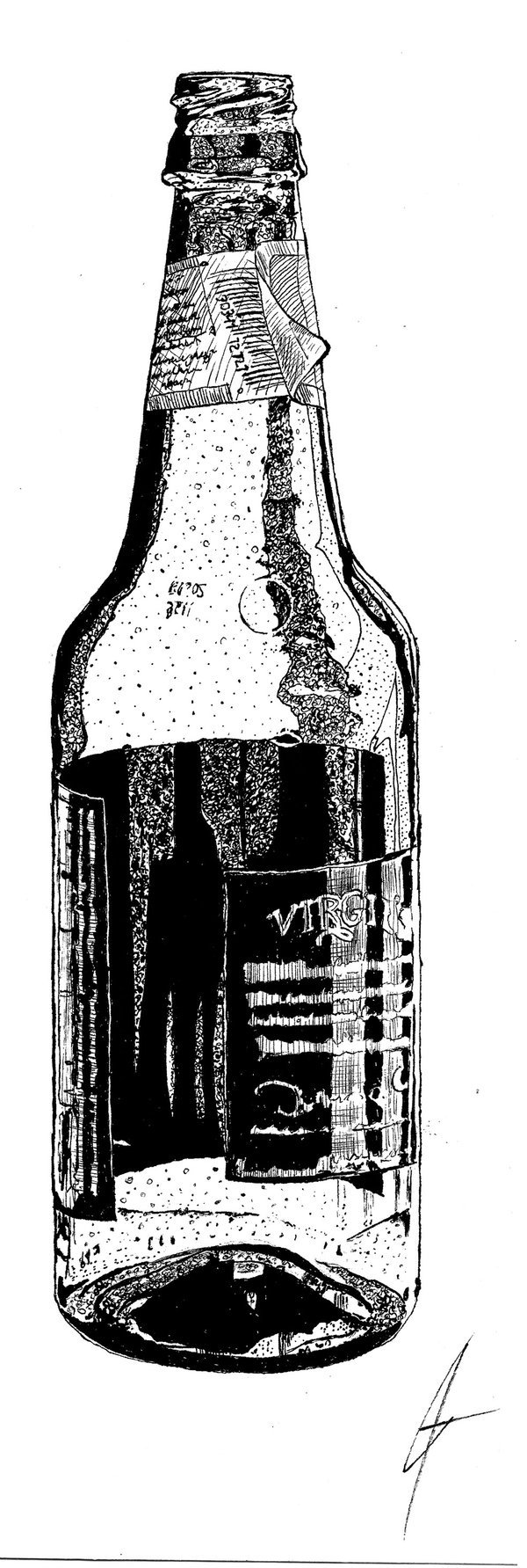 600x1783 Beer Bottle Pencil Drawing - Beer Bottle Sketch