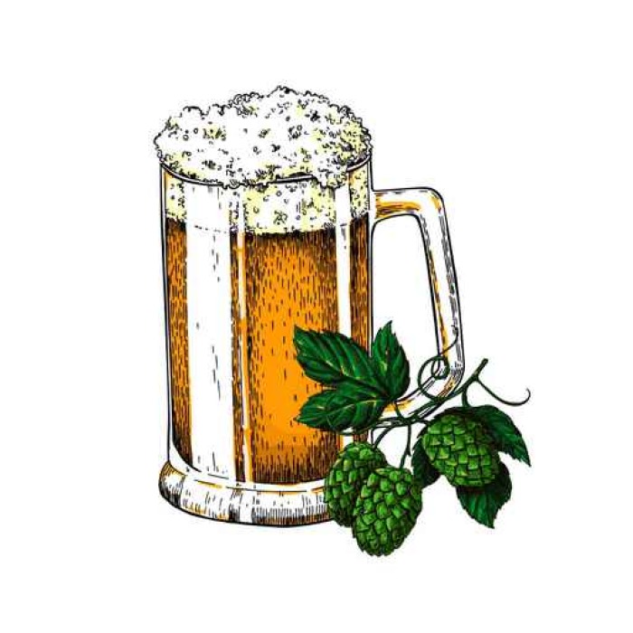 700x700 Beer Glass Mug With Hop. Sketch Vector Illustration. Hand Drawn - Beer Glass Sketch