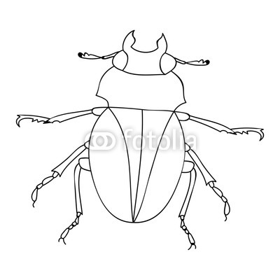 400x400 Isolated, Insect, Beetle Sketch Buy Photos Ap Images Detailview - Beetle Sketch