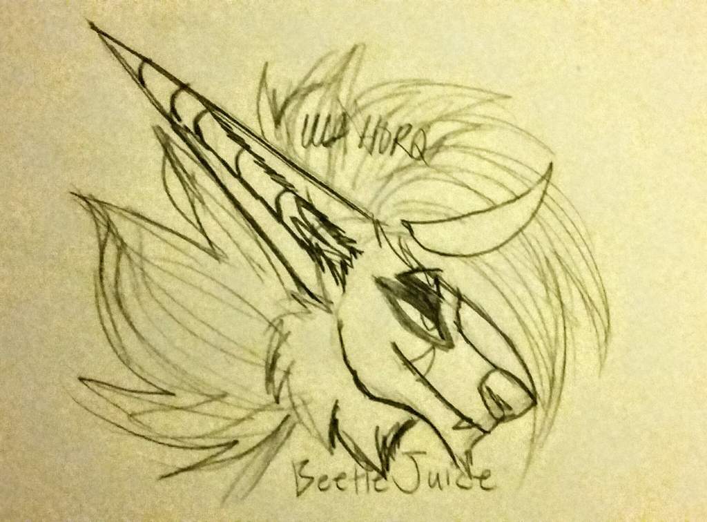 1024x756 Concept Sketch For Beetlejuice Furry Amino - Beetlejuice Sketch