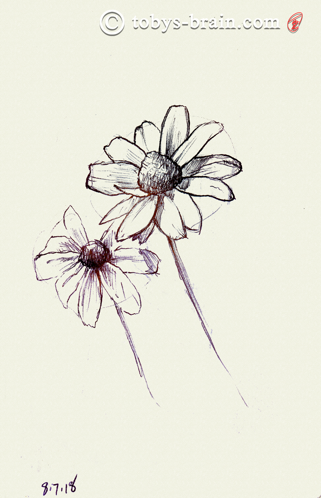 1032x1600 Moleskin Sketch Camp Bell 2018 - Bell Sketch