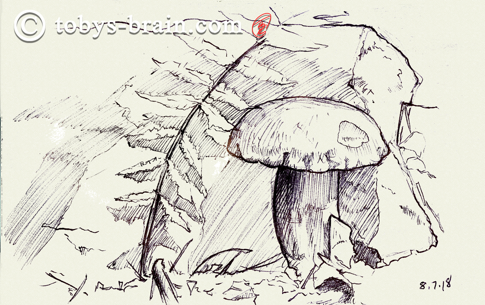 1600x1007 Moleskin Sketch Camp Bell 2018 - Bell Sketch