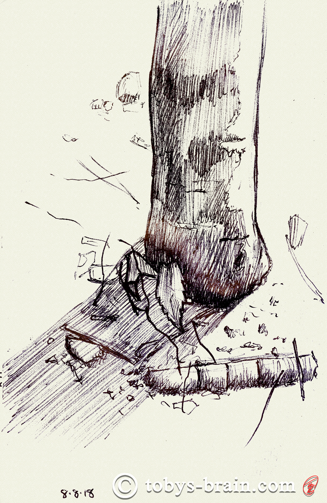 1040x1600 Moleskin Sketch Camp Bell 2018 - Bell Sketch