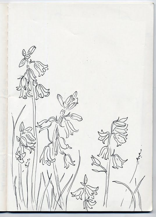 536x743 Blue Bell Sketch Tattoo Drawings, Flowers And Art - Bell Sketch