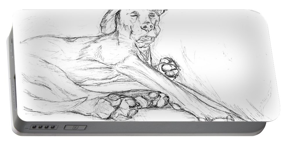 993x500 Great Dane Dog Sketch Bella Portable Battery Charger For Sale By - Bella Sketch
