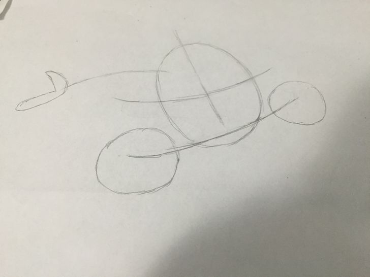 728x546 How To Draw A Beluga Whale 10 Steps (With Pictures) - Beluga Whale Sketch