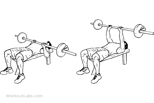 Bench Press Sketch at PaintingValley.com | Explore collection of Bench ...