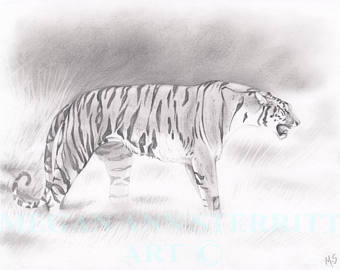340x270 Bengal Tiger Drawing Etsy - Bengal Tiger Sketch