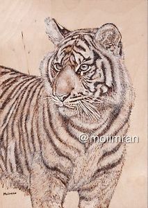 213x300 Original Bengal Tiger Portrait - Bengal Tiger Sketch