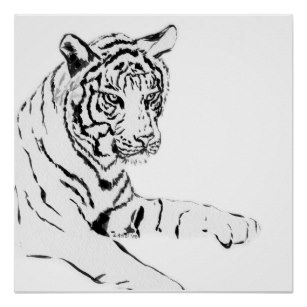 307x307 Tiger Sketch Art Amp Wall Zazzle - Bengal Tiger Sketch