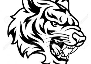 300x210 Tiger Sketch Pictures Tiger Sketch 1legend13 - Bengali Sketch