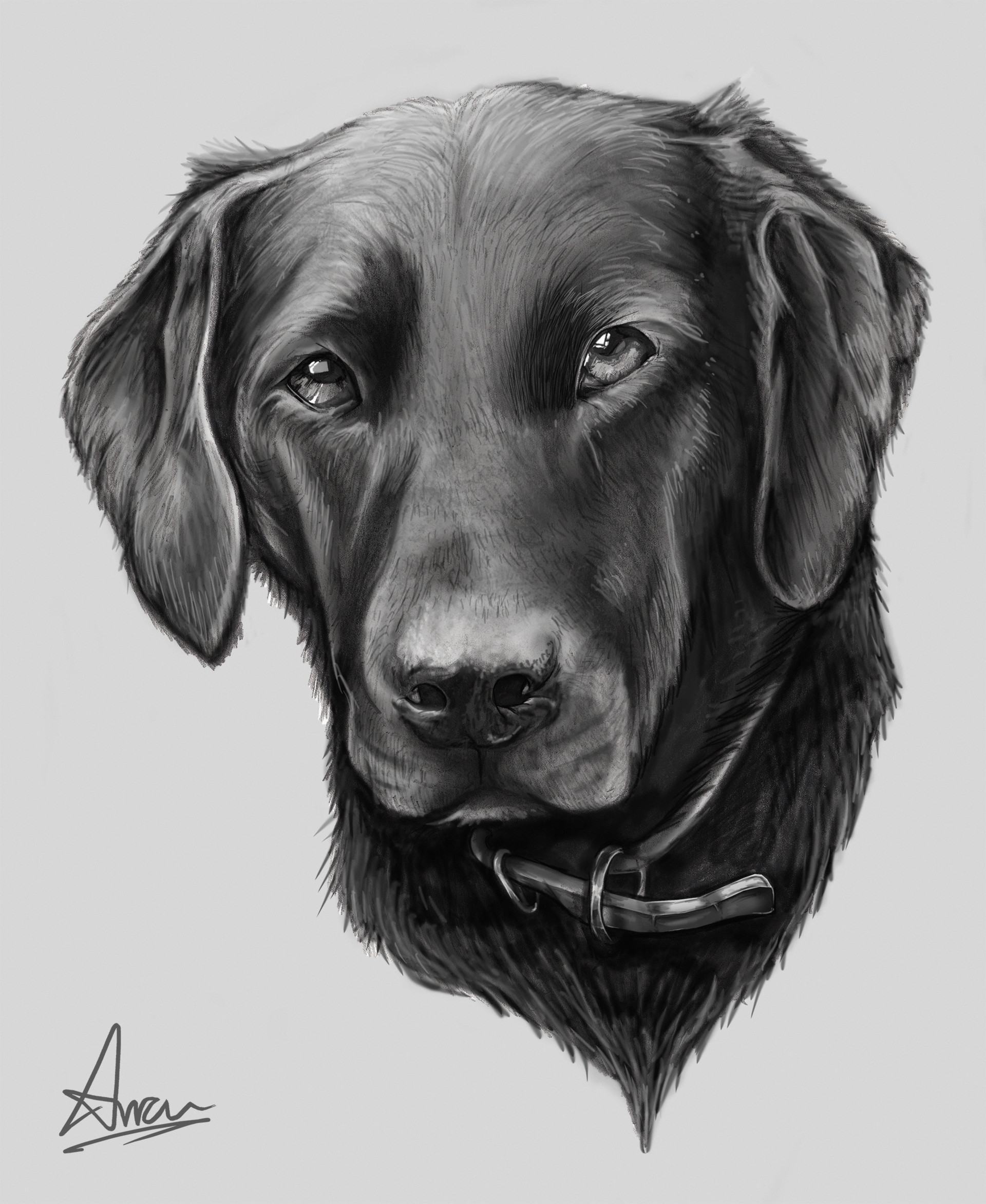 1920x2344 Arran James Bentley - Bentley Logo Sketch