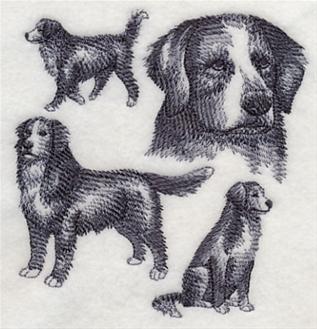 317x329 Bernese Mountain Dog Sketch Serendipity Embroidery - Bernese Mountain Dog Sketch