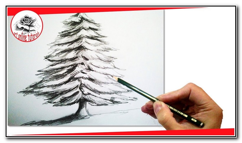 819x483 Pencil Sketches Of Christmas Tree Best Drawing Book - Best Christmas Sketches