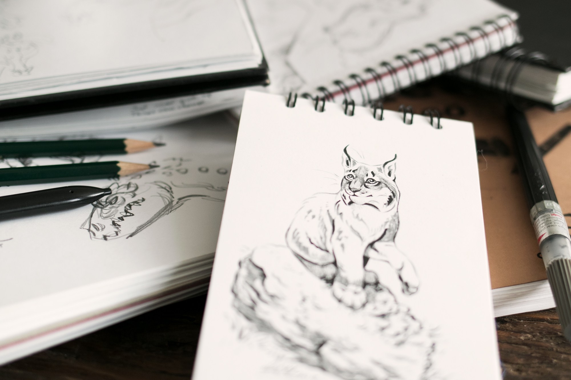 2000x1333 Never Lose Great Ideas Again - Best Sketches