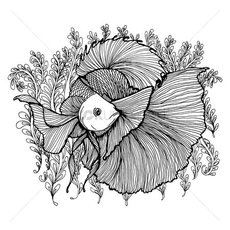 450x450 Free Betta Fish Stock Vectors Stockunlimited - Betta Fish Sketch