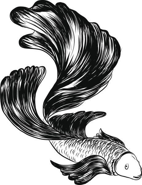 462x600 Pretty Black And White Betta Fish Pen Sketch Drawing - Betta Fish Sketch