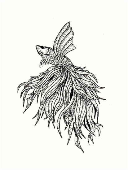 413x549 Sketch 55 - Betta Fish Sketch