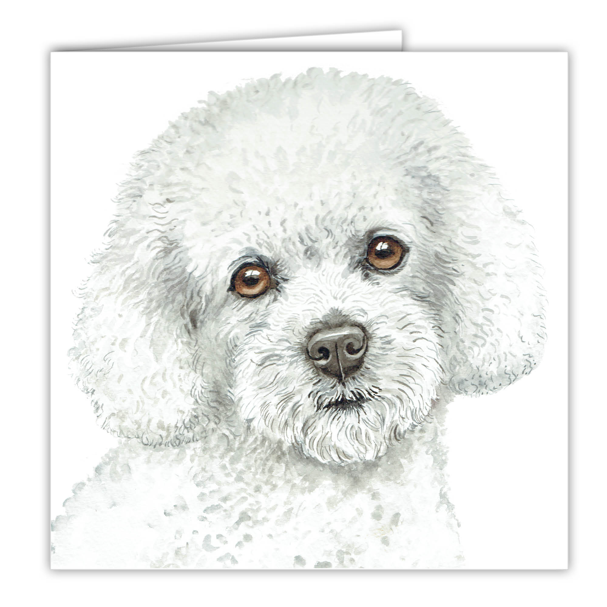 Bichon Frise Sketch at Explore collection of