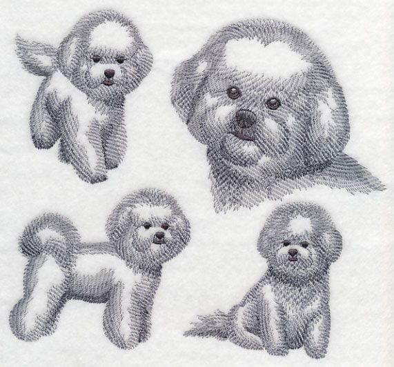 Bichon Frise Sketch at PaintingValley.com | Explore collection of ...