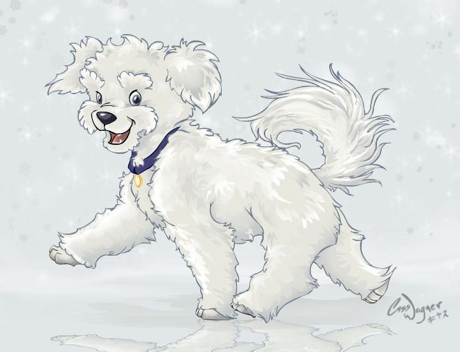 664x508 Bichon Drawing - Bichon Sketch