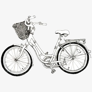 300x300 Bicycle Sketch, Bicycle, Lady, Sketch Png Image And Clipart For - Bicycle Sketch Images