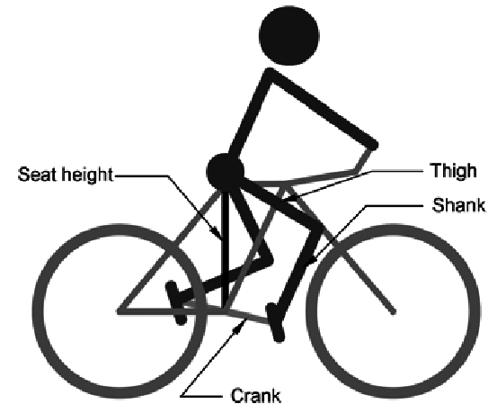 553x459 Bicycle Riding Sketch. Download Scientific Diagram - Bicycle Sketch Images