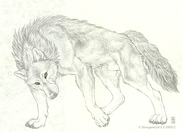 700x505 Big Bad Wolf By Shinigamigirl - Big Bad Wolf Sketch