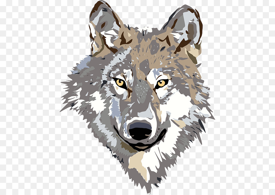 900x640 Gray Wolf Big Bad Wolf Wolf Walking Clip Art - Big Bad Wolf Sketch
