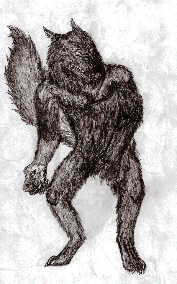 600x963 Big Bad Wolf Sketch By Rhahsid - Big Bad Wolf Sketch