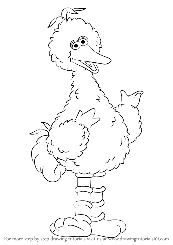 598x844 Learn How To Draw Big Bird From Sesame Street (Sesame Street) Step - Big Bird Sketch
