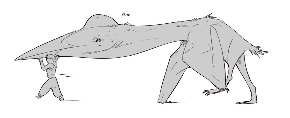 1200x490 Werewindy @halcon B6 8 On Twitter When Ur Big Bird Horse Is - Big Bird Sketch