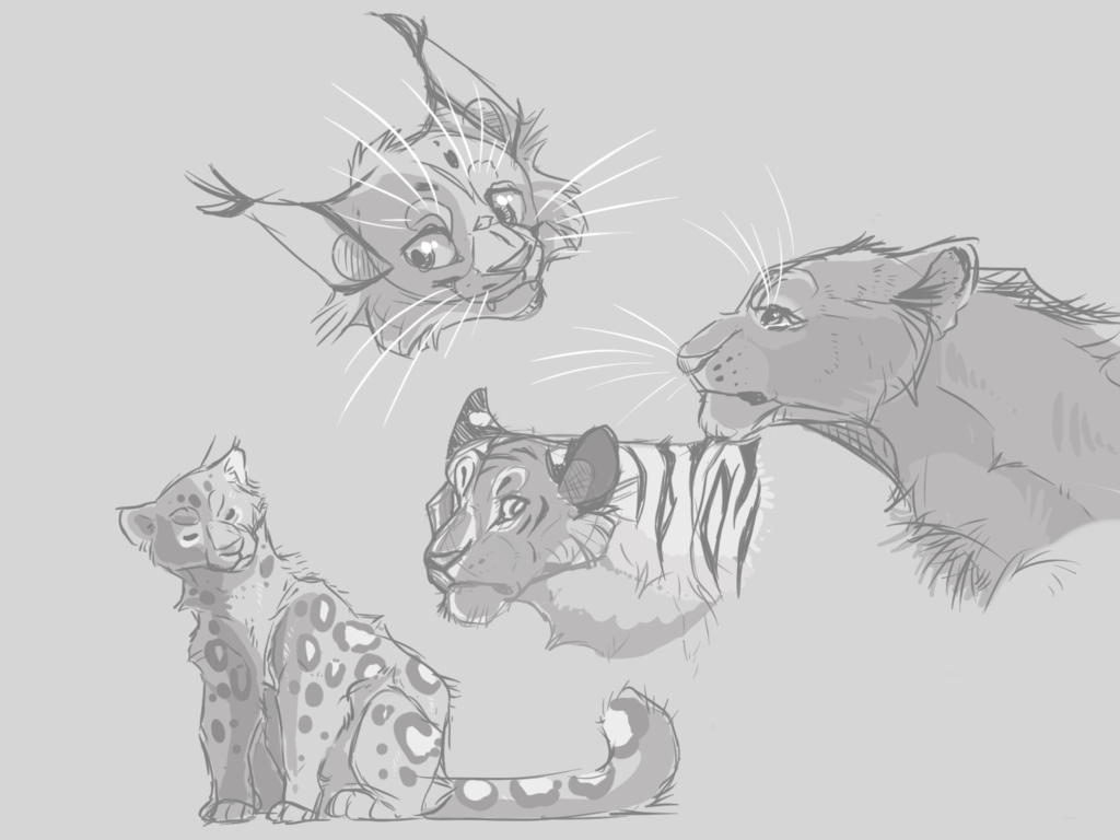1024x768 Big Cat Sketches By Fosbat - Big Cat Sketches
