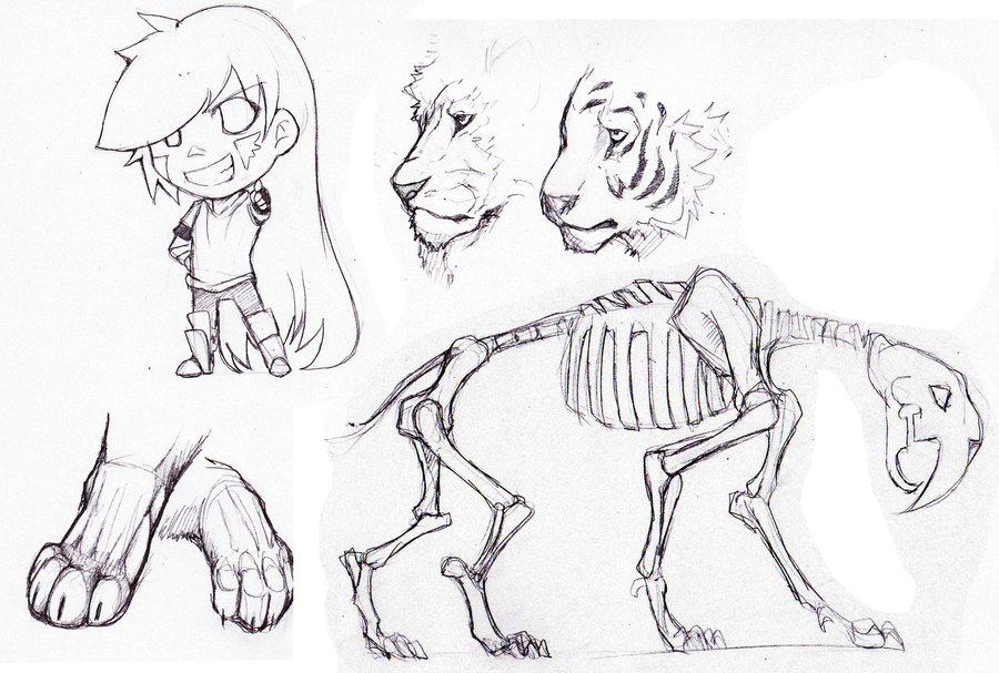 900x607 Big Cat Sketches And Random By Lwyn - Big Cat Sketches