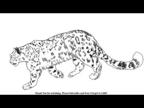 480x360 How To Draw A Cheetah Big Cat Yzarts Yzarts - Big Cat Sketches