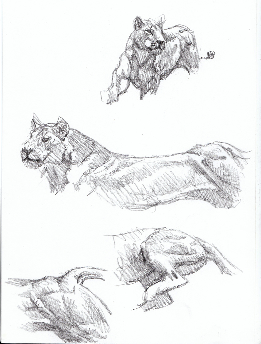851x1122 Sabertooth Diaries 3 Big Cat Action Sketches Chasing Sabretooths - Big Cat Sketches