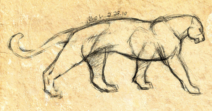 700x369 Sketch - Big Cat Sketches