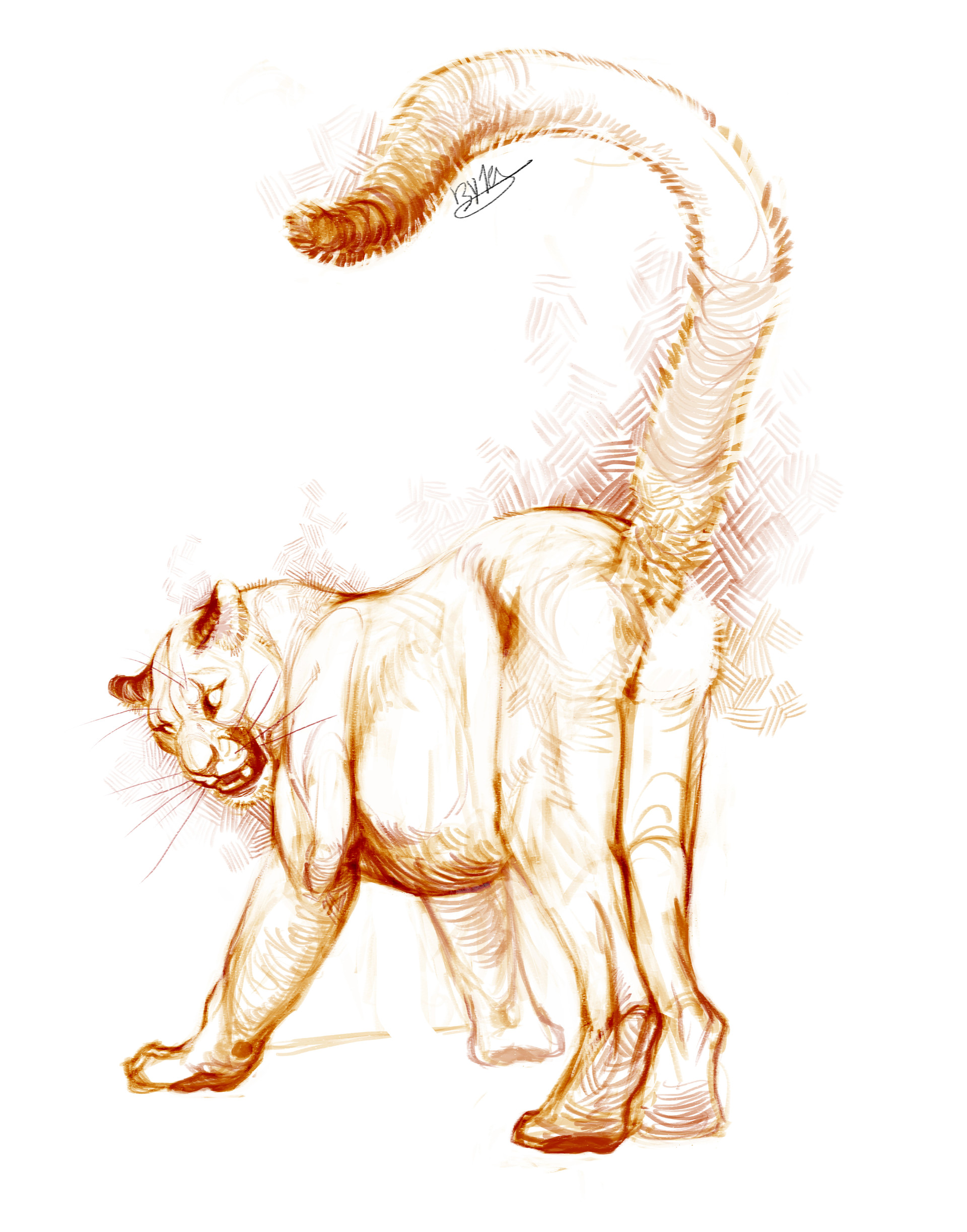 1920x2444 Artstation - Big Cat Sketches