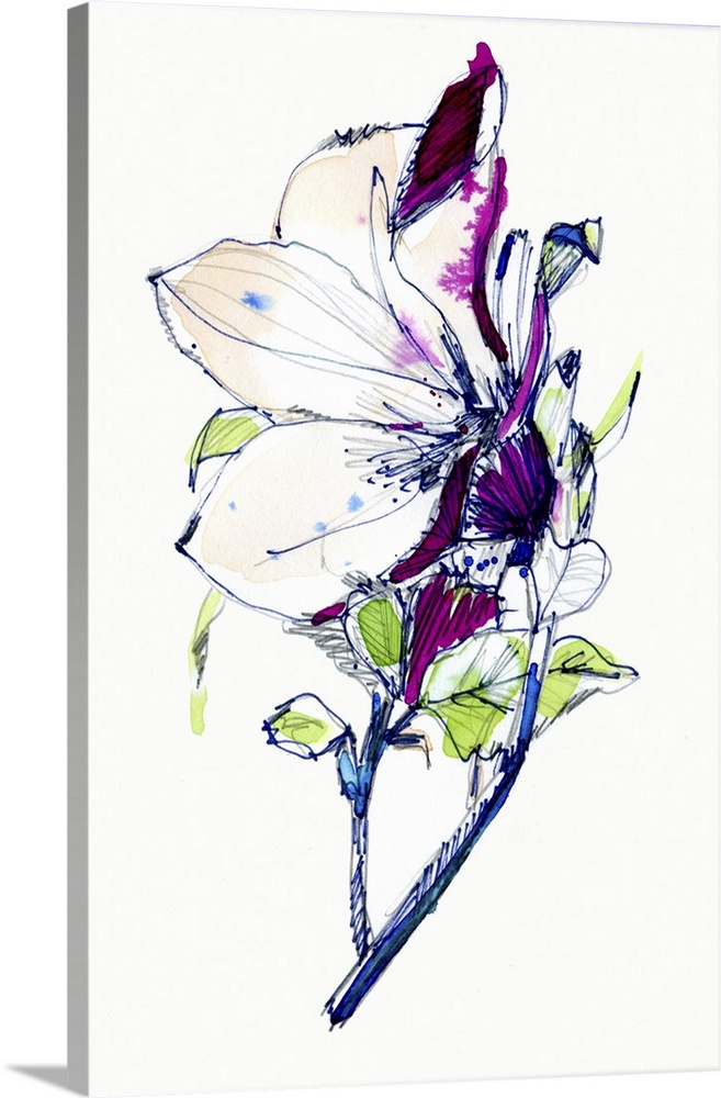 657x1000 Flower Sketch Wall Art, Canvas Prints, Framed Prints, Wall Peels - Big Flower Sketch