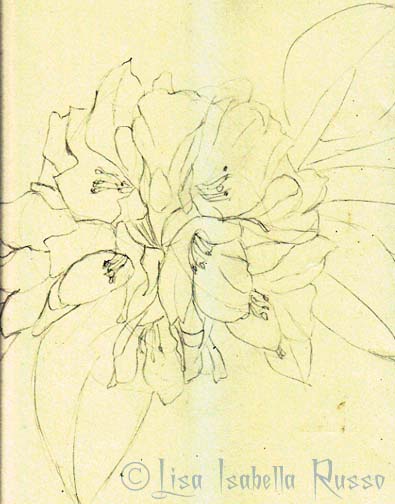 395x504 The Fine Art And Ramblings Of Lisa Isabella Russo Sketch Of - Big Flower Sketch